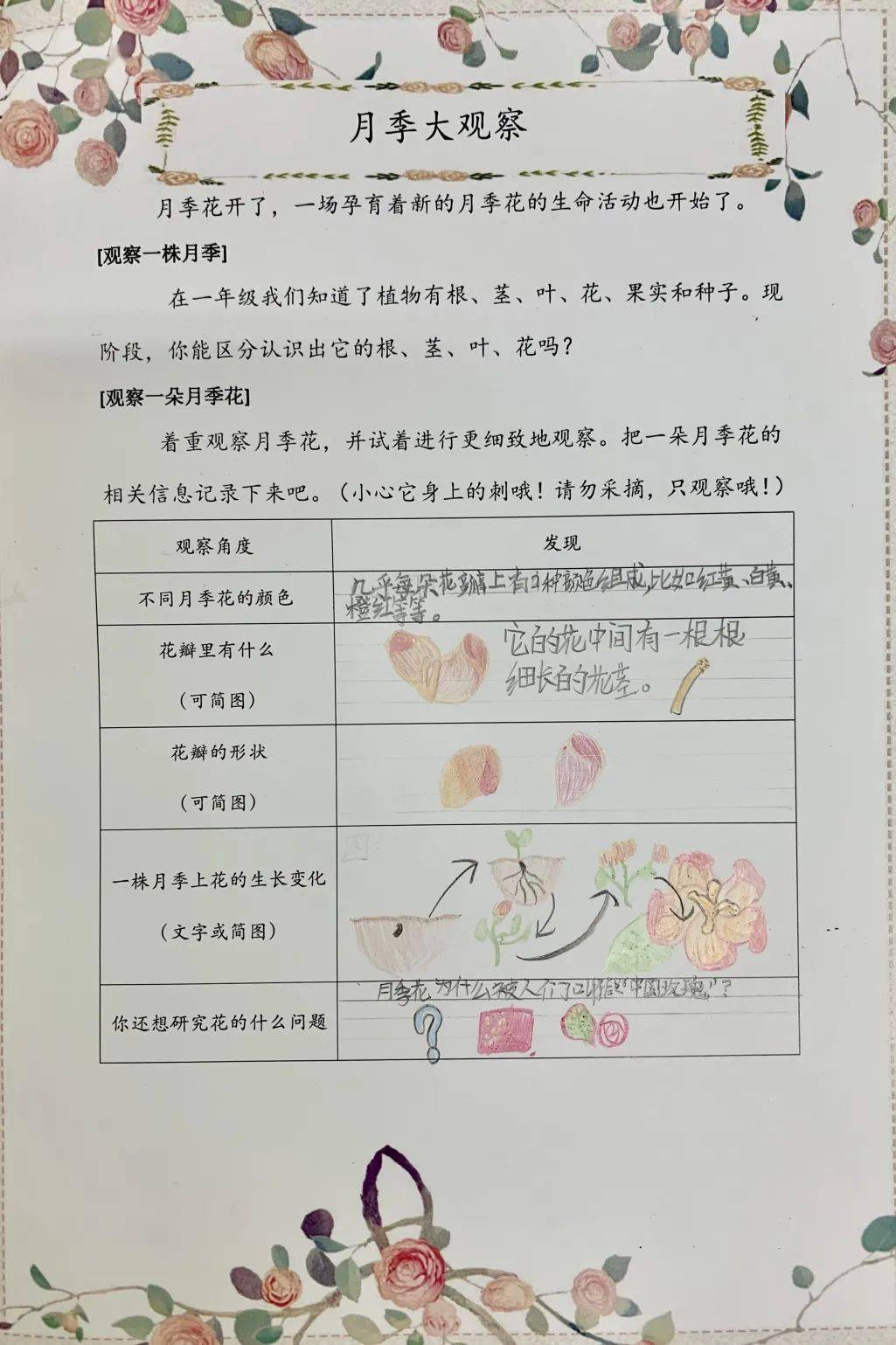 一篇篇以"月季"为主人公的童话在他们的笔下鲜活起来;一个个创意设计