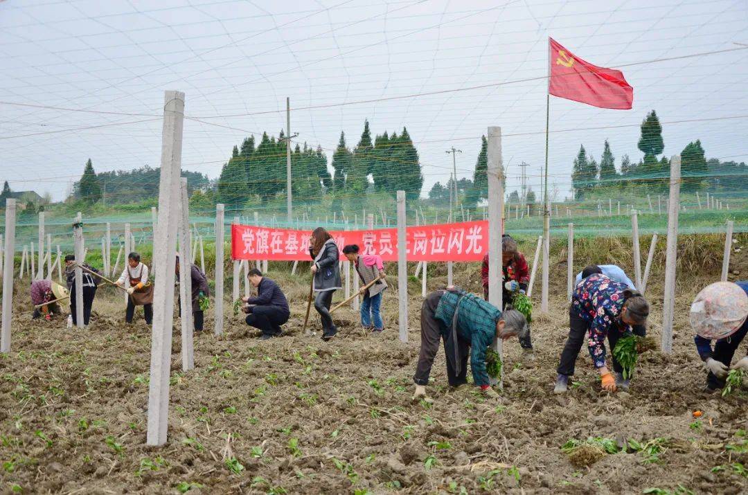 凝心聚力成效显 乘势而上开新局——兴仁镇五年工作综述