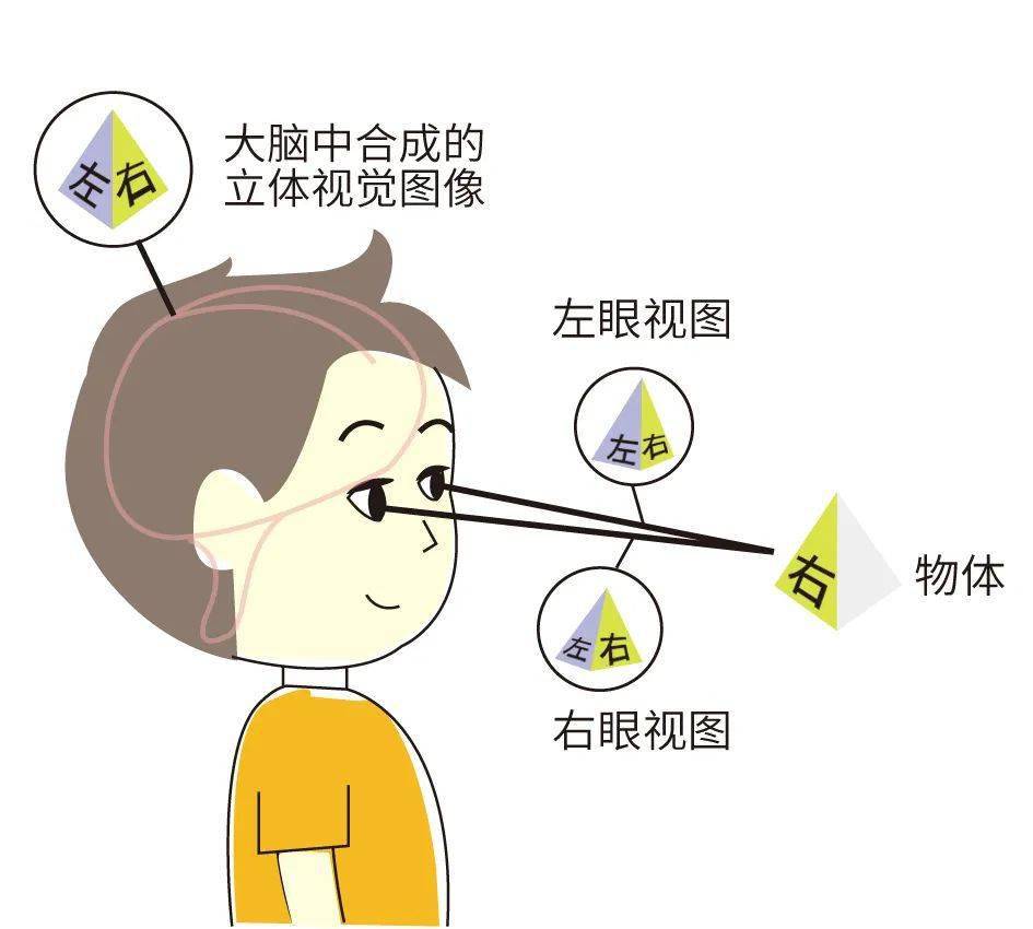 家裡孩子的視功能做過檢查了嗎