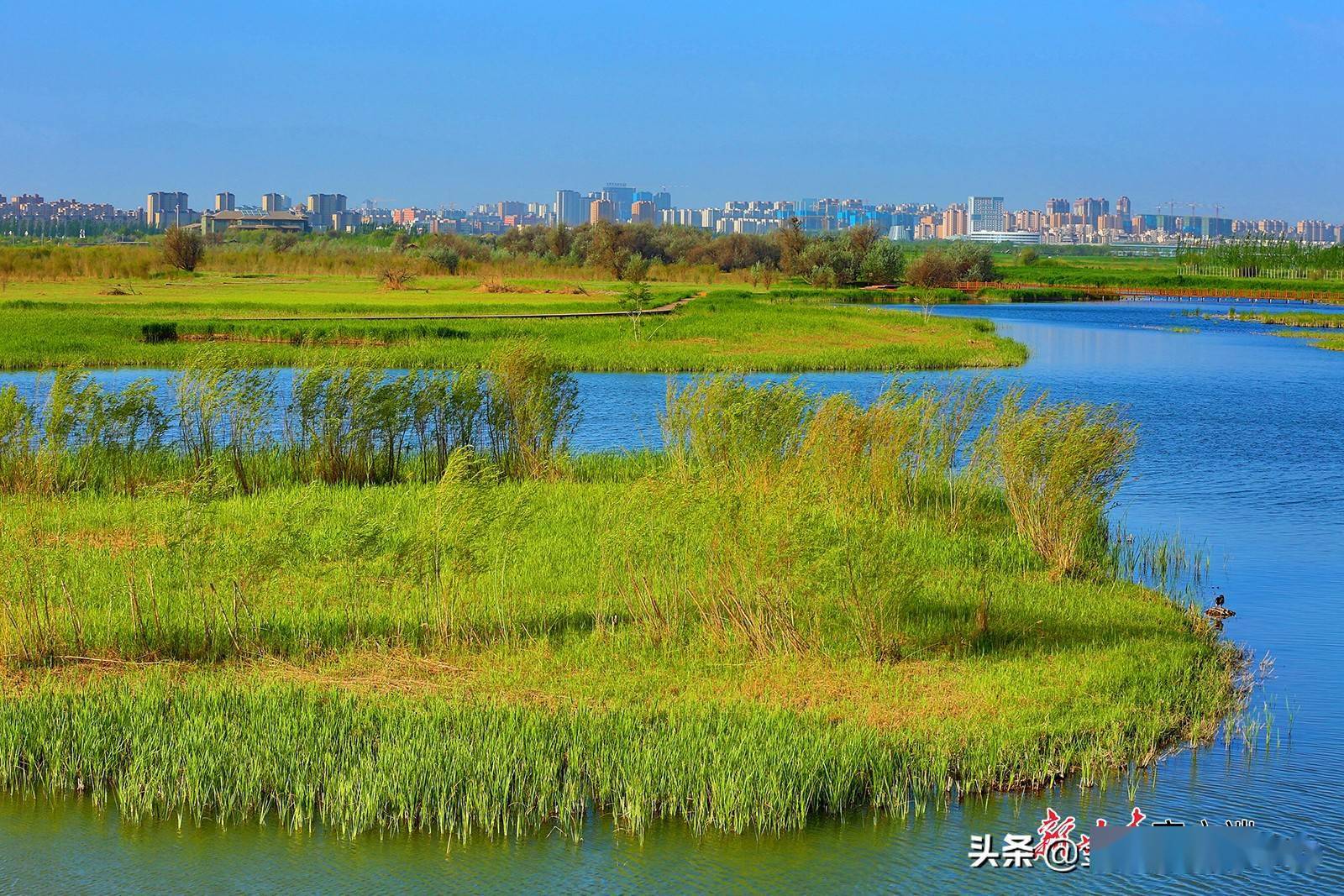 张掖市城市湿地景色怡人_甘州区_水清_公园