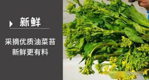 家鄉美味油菜薹有它多吃三碗飯