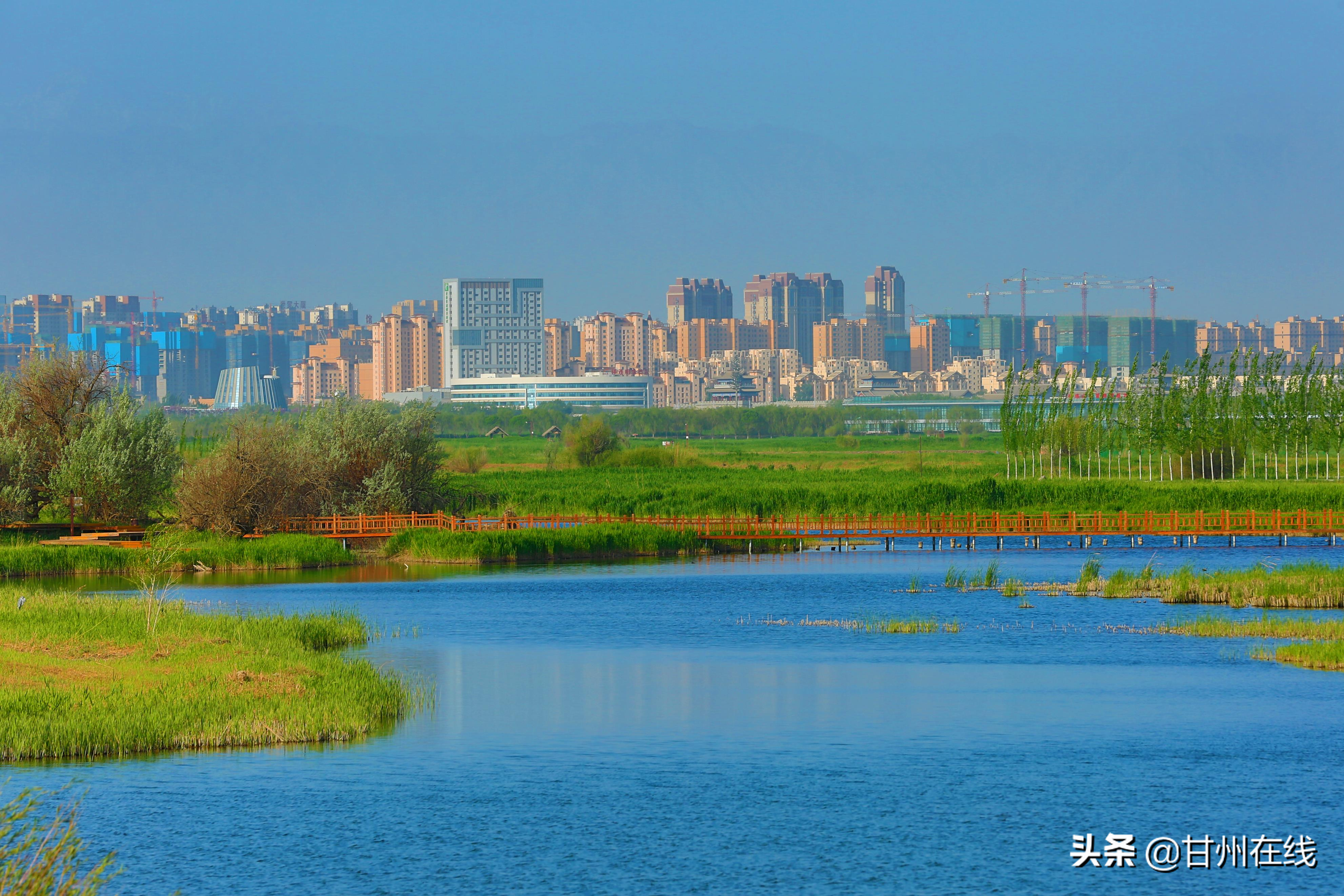 张掖甘州:湿地景色怡人