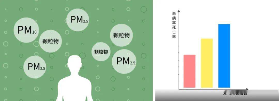 環保課堂丨大氣汙染對人體健康的影響_顆粒物_效應_人群