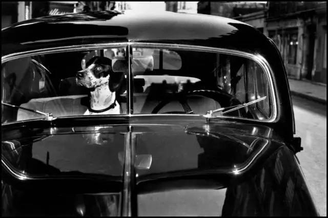 艾略特厄威特elliotterwitt