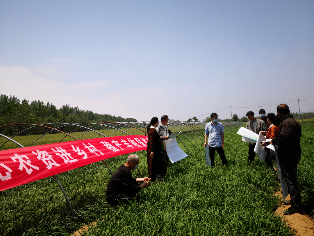 运城市开展2022年放心农资下乡进村宣传活动_生产_农业_产品