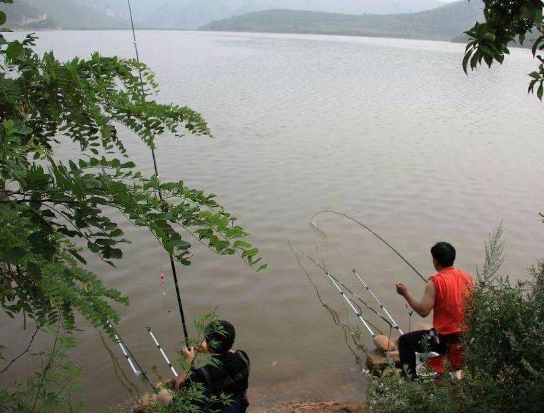 初夏釣魚的幾個常規技巧釣魚要知道