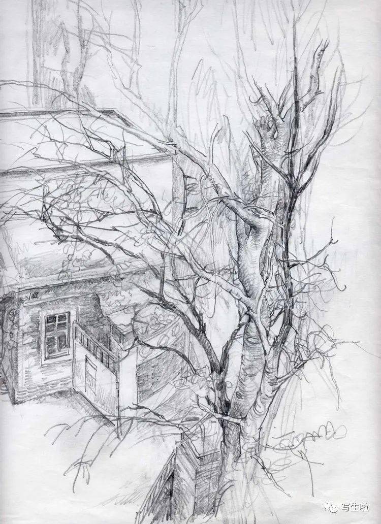 写生啦于小冬素描风景写生附2022新作