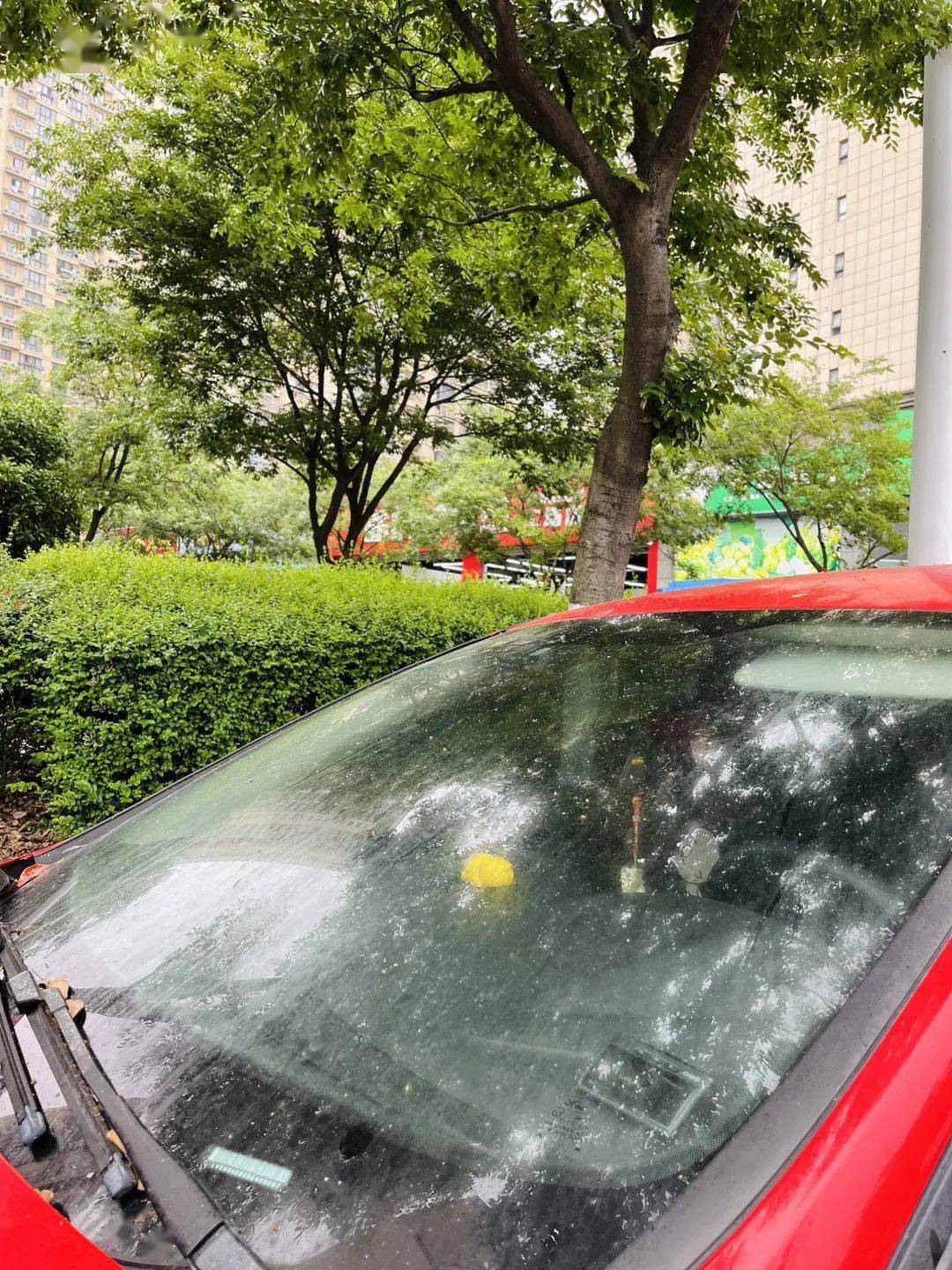 车上常布满黏糊糊的油滴原来是它在作怪