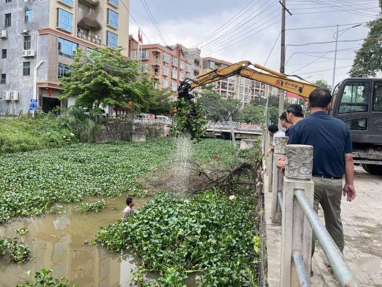 陆川县清湖镇:河道清理出实招 水清岸绿焕新颜