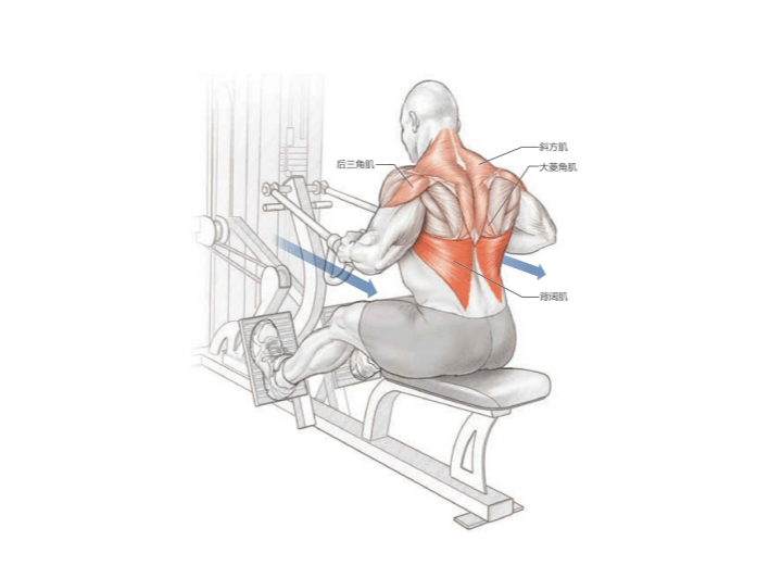 拉力绳练背部图解图片
