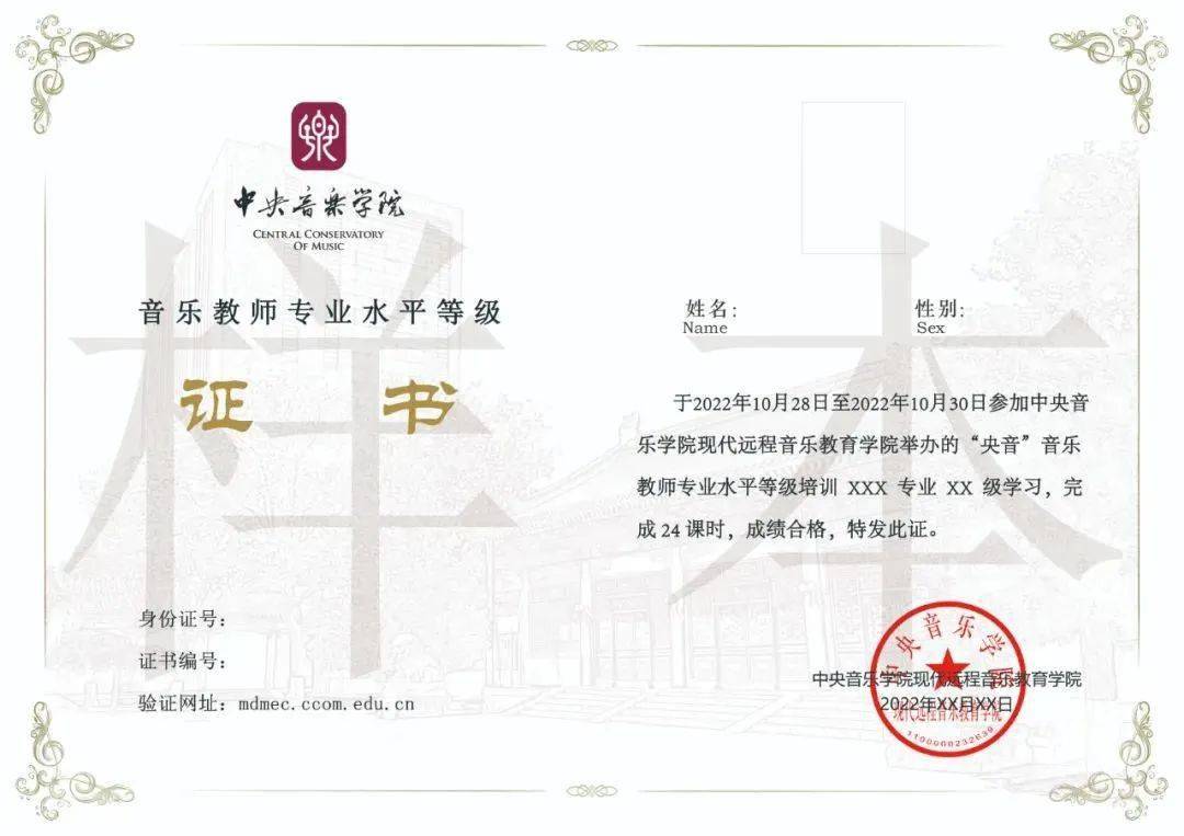 小提琴音乐教师培训著名教授授课从业必备证书