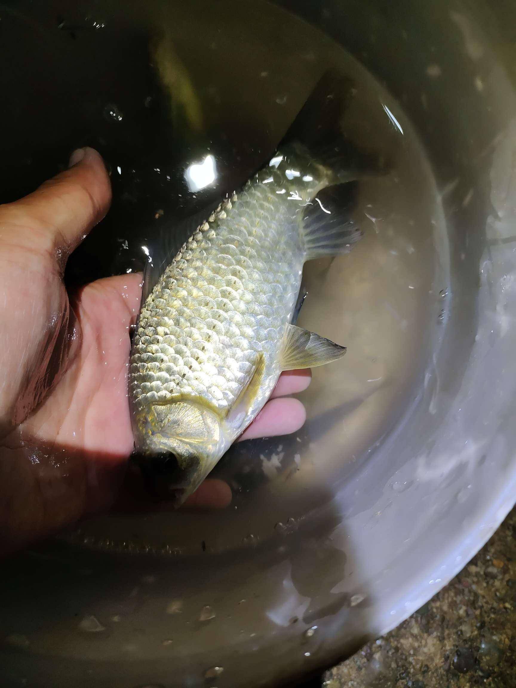 72米单手抛竿5小时