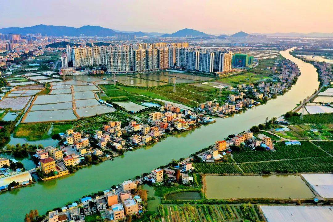 努力把人大代表议案办出成效坦洲镇召开专项协调会