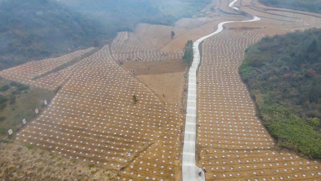 巴渝风丨到秀山,品"盖上"风光情韵_独立师_王光泽_段苏权