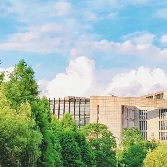 我校王绍荣教授团队获批江苏省碳达峰碳中和科技创新专项_技术_氧化物_制氢