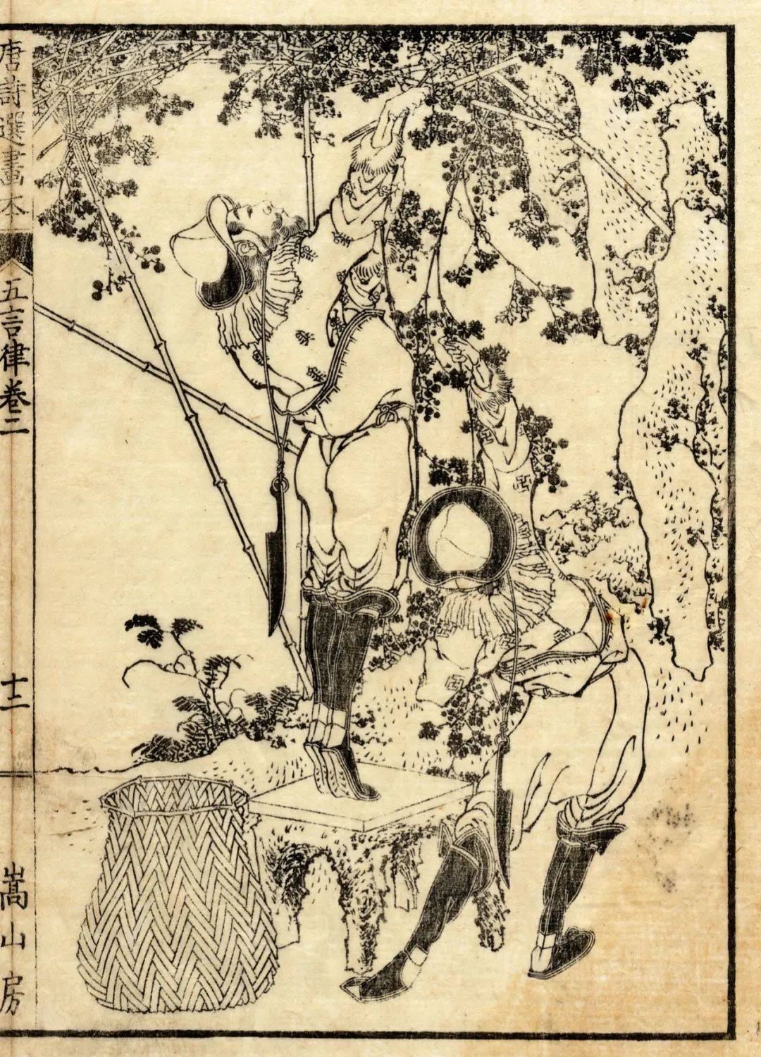人间的万物春秋——葛饰北斋珍贵线稿_浮世绘_笔下_绘画