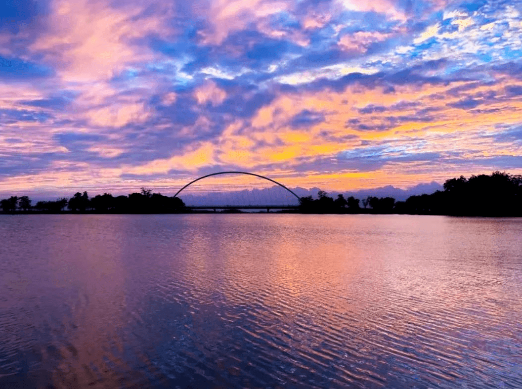 紅霞漫天,水天一色夕陽的餘暉映照湖水傍晚滿湖爍金,鷺鳥翩飛金色的