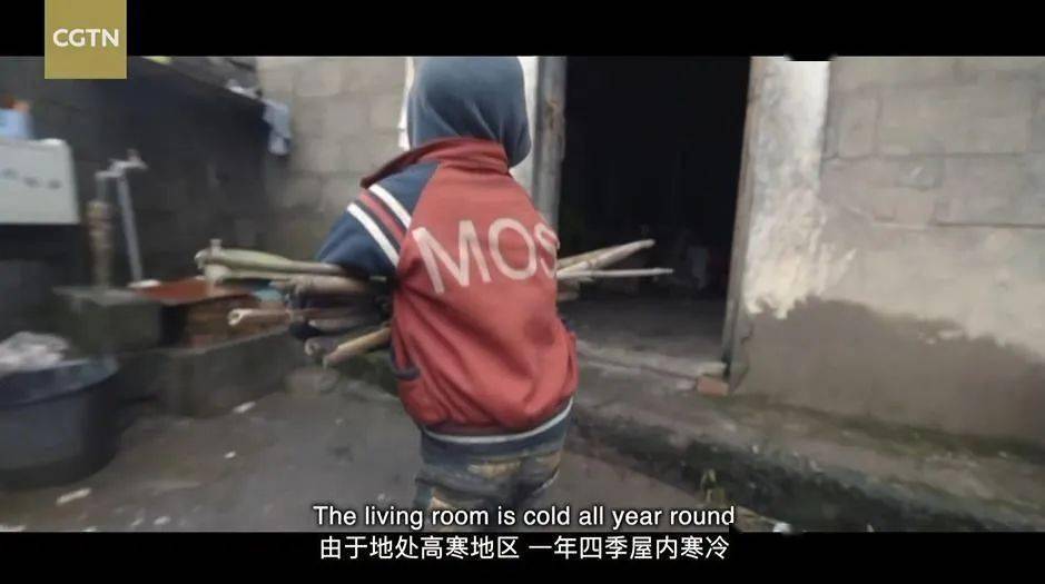 成为表情包之王的丁真,发出了他的律师函_理塘县_宇宙_热度