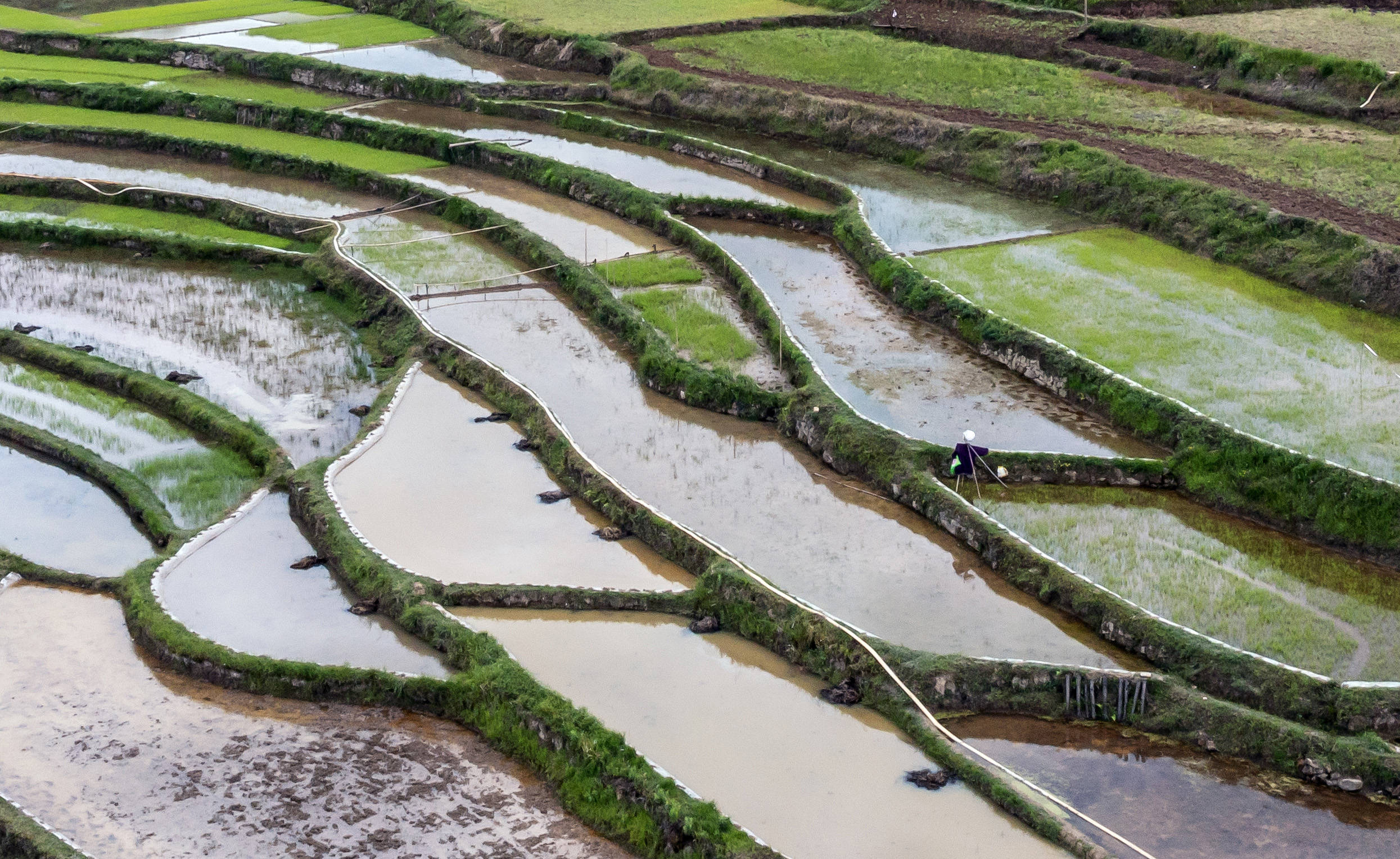 贵州黔西梯田美农耕忙