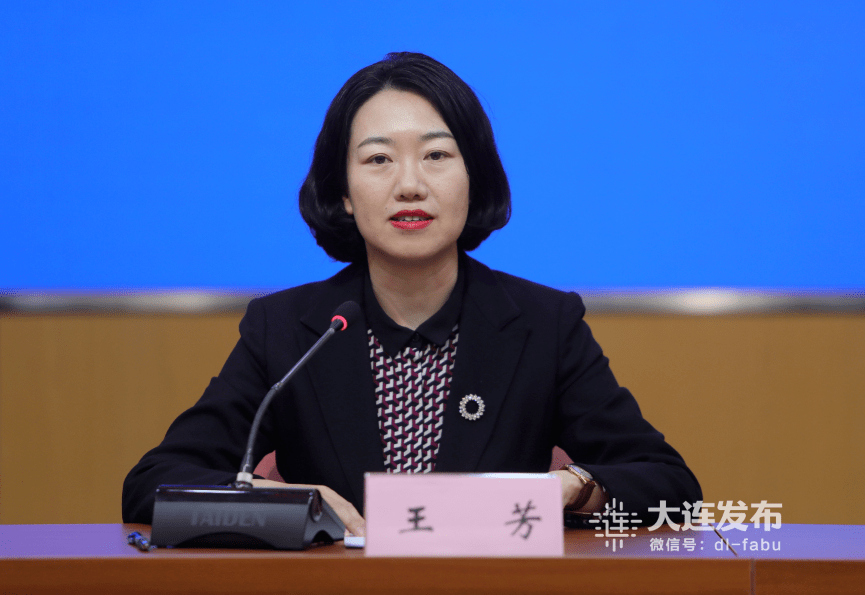 请市营商环境建设局副局长,新闻发言人王芳,国家税务总局大连市