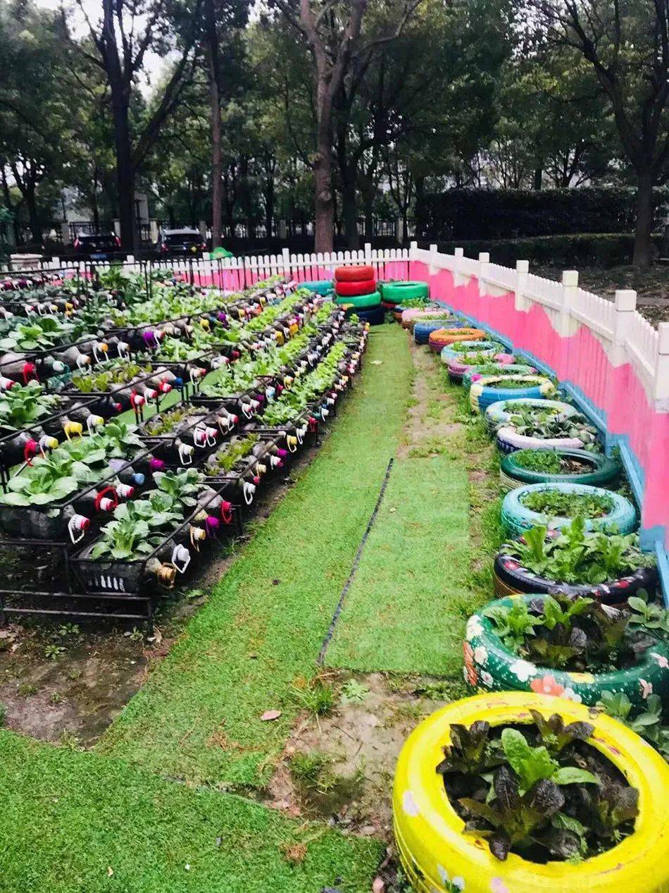 "顾问"是横沙岛人,种菜经验丰富,自己也有田地,他会把种好的秧苗拿到"