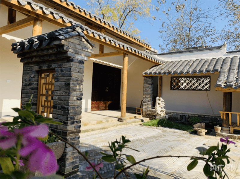 河南信阳张俊磊以青春筑梦乡村振兴