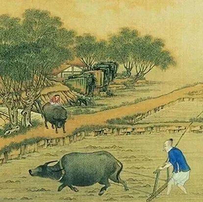 “一亩三分地”的由来_一亩地也不撂荒_宗亲_示范
