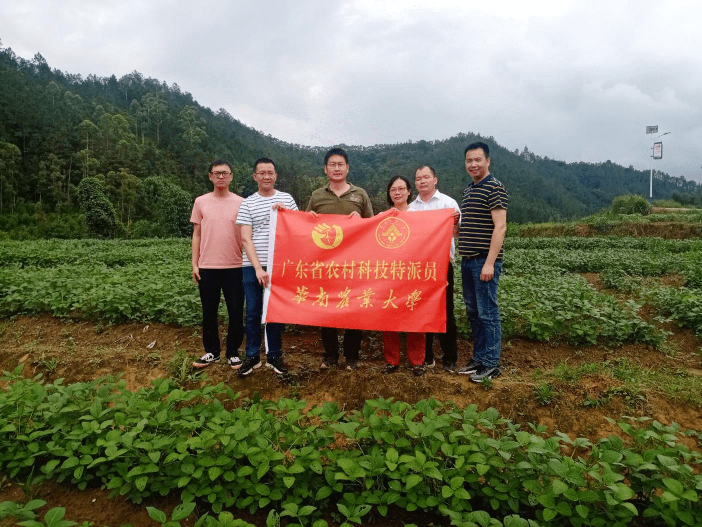 把脉问诊广东省农村科技特派员深入大江镇进行技术指导