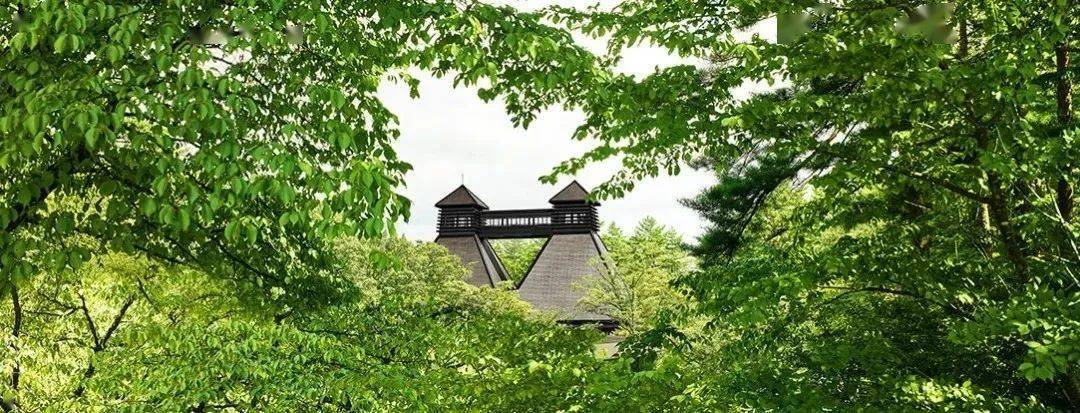 白州_日本_白川名