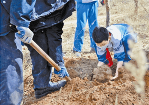 俱伟 摄近日,靖边县五台森林公园,阳光明媚,当地政府组织企事业单位和