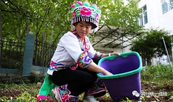 民族团结进步云南宾川以学促做奏响新时代民族团结进步动人乐章