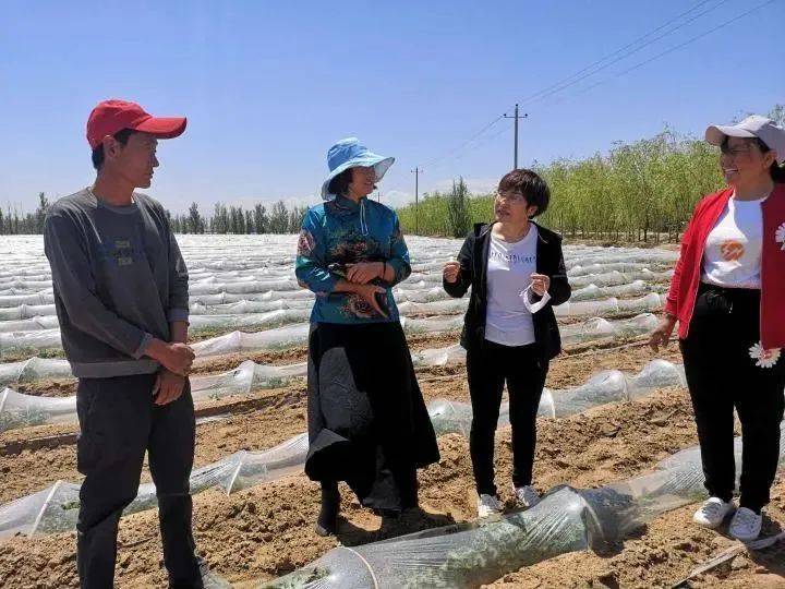 榜样的力量郝霞农牧民心中最美农技员