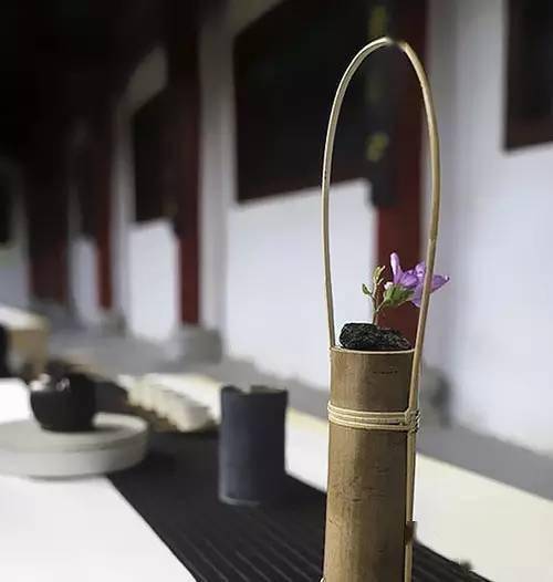 一截枯枝,诠释禅道之美!_插花_茶道_日本