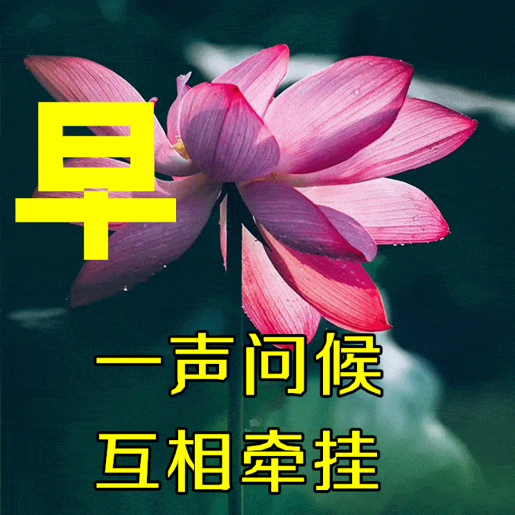 5月19日最漂亮早上好动态表情图片大全早晨好动图美图大全