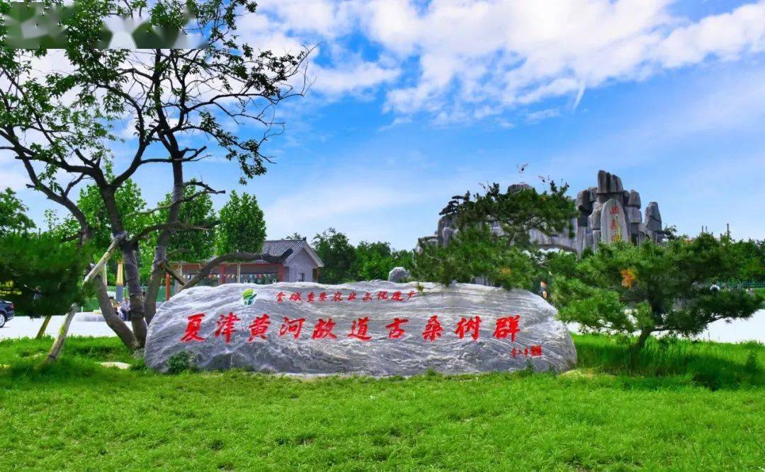 2022年中国旅游日山东省暨德州市分会场活动在夏津举行