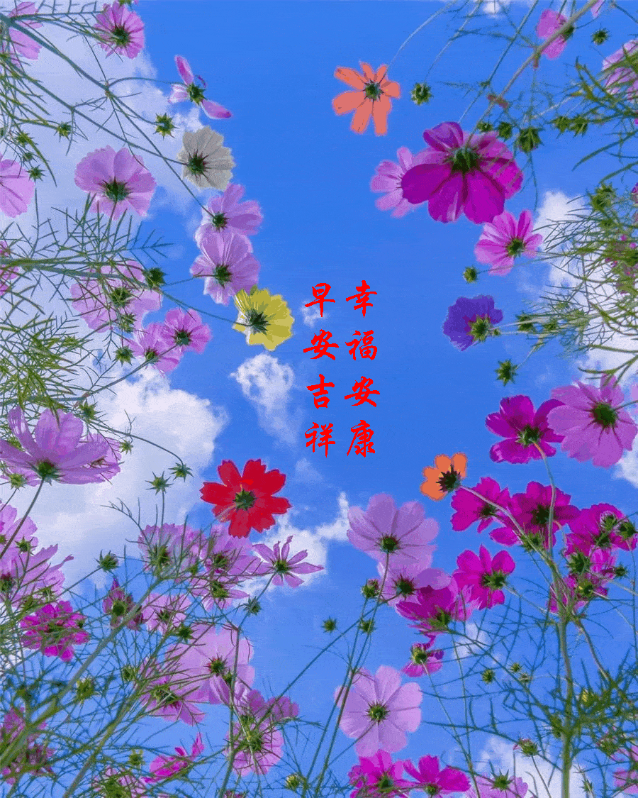 【早安馨语】新的一天,祝朋友们生活愉快!心情舒畅!身体健康!