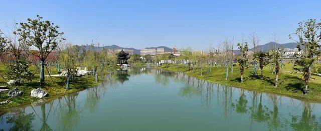 桃花湖公園520甜蜜開園,是杭州城北地區最大愛情主題公園_丁蘭_集團