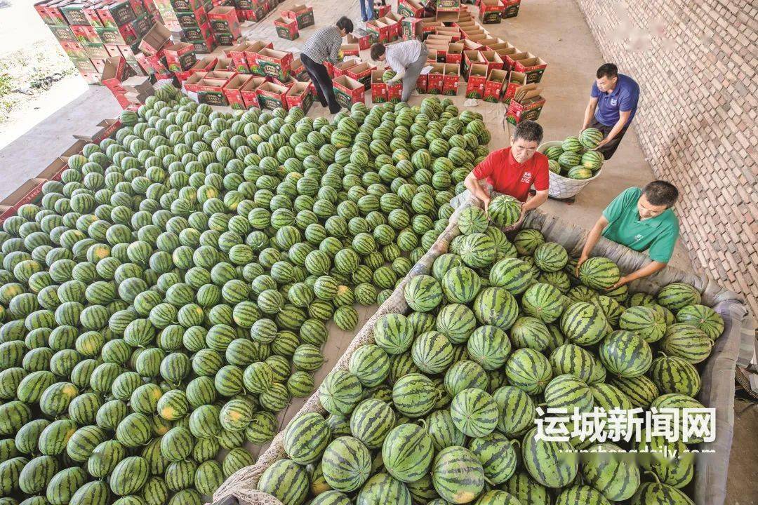 我的運城61只此青綠入夏來