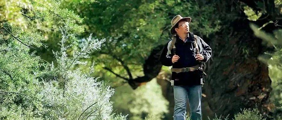故事丨从爱上种子到把自己也变成一颗“种子”_钟杨_植物_品格