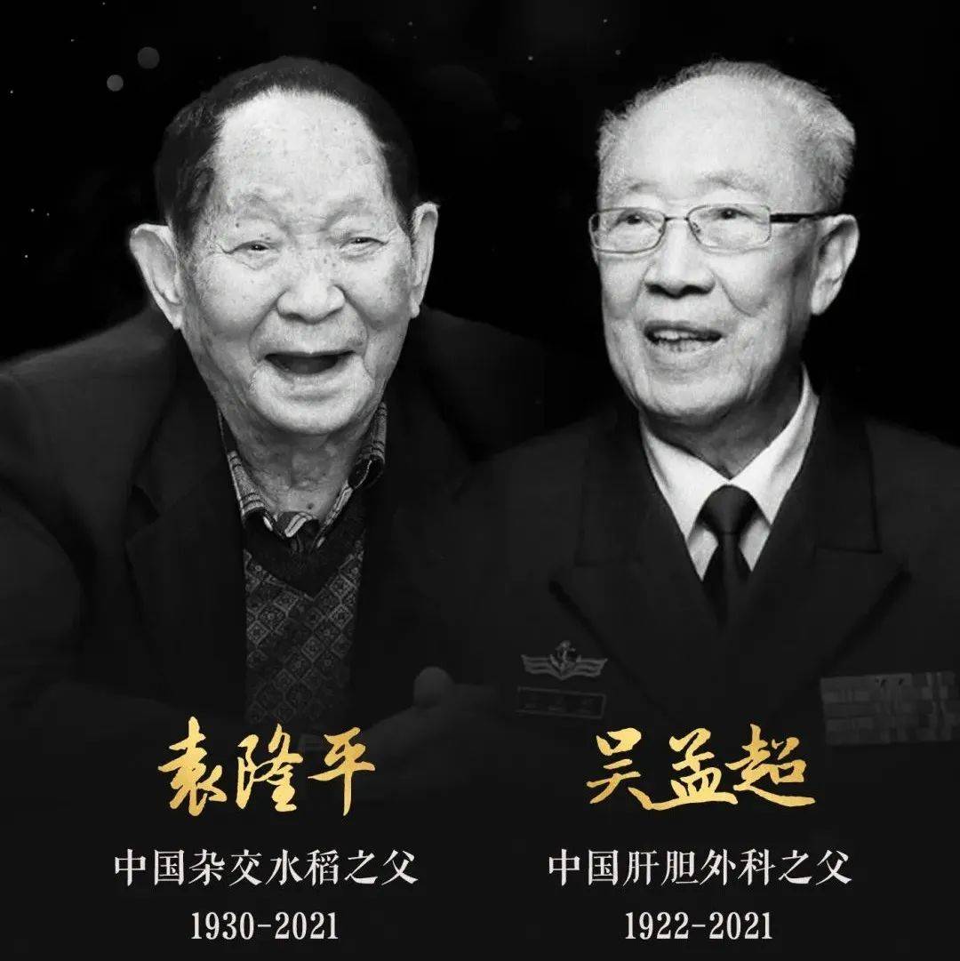 一把稻、一把刀_吴孟超_袁隆平_手术