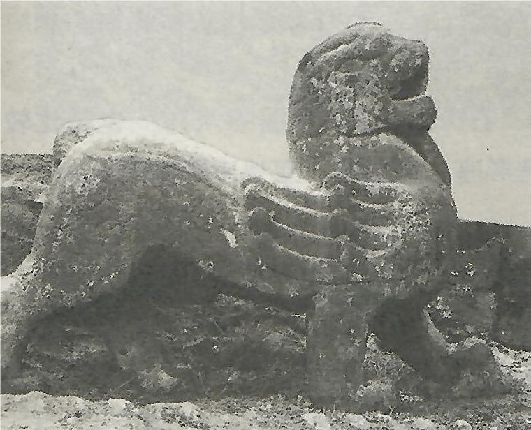 论中国的有翼神兽