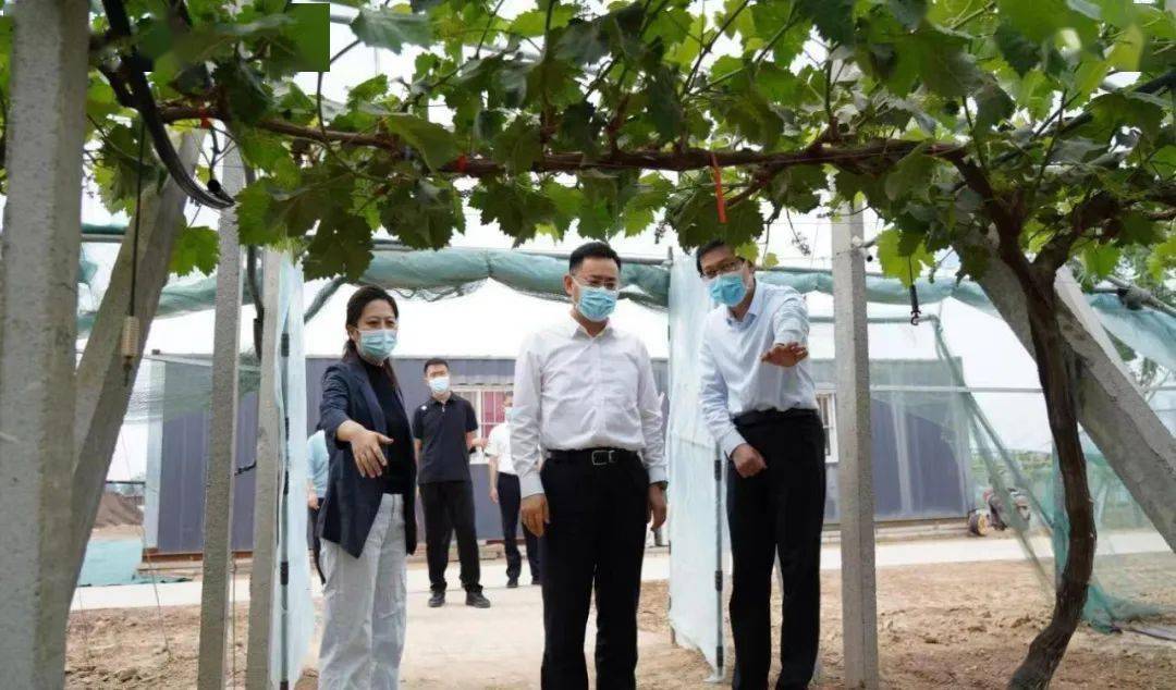 市委常委统战部部长冯亚强到新河县调研