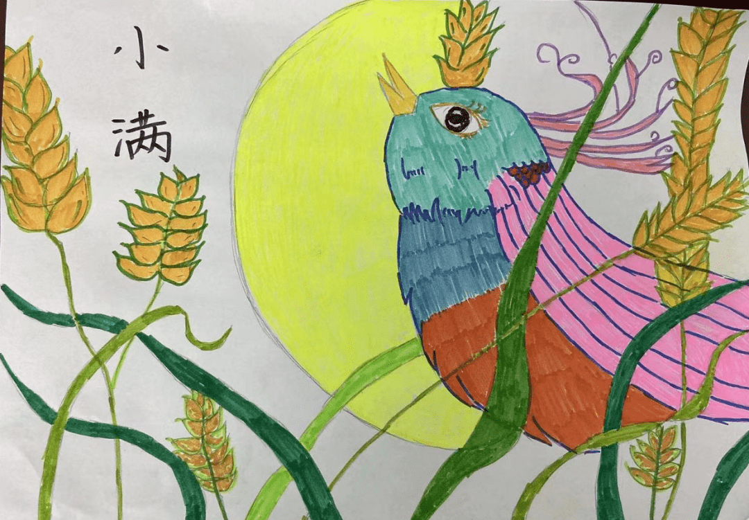 二十四节气小主播——小满