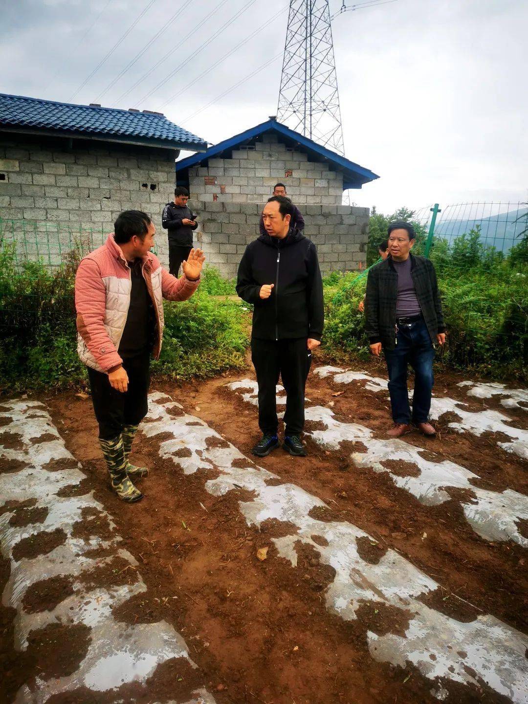 沙马木机到马拖镇东坪村调研果蔬套种模式