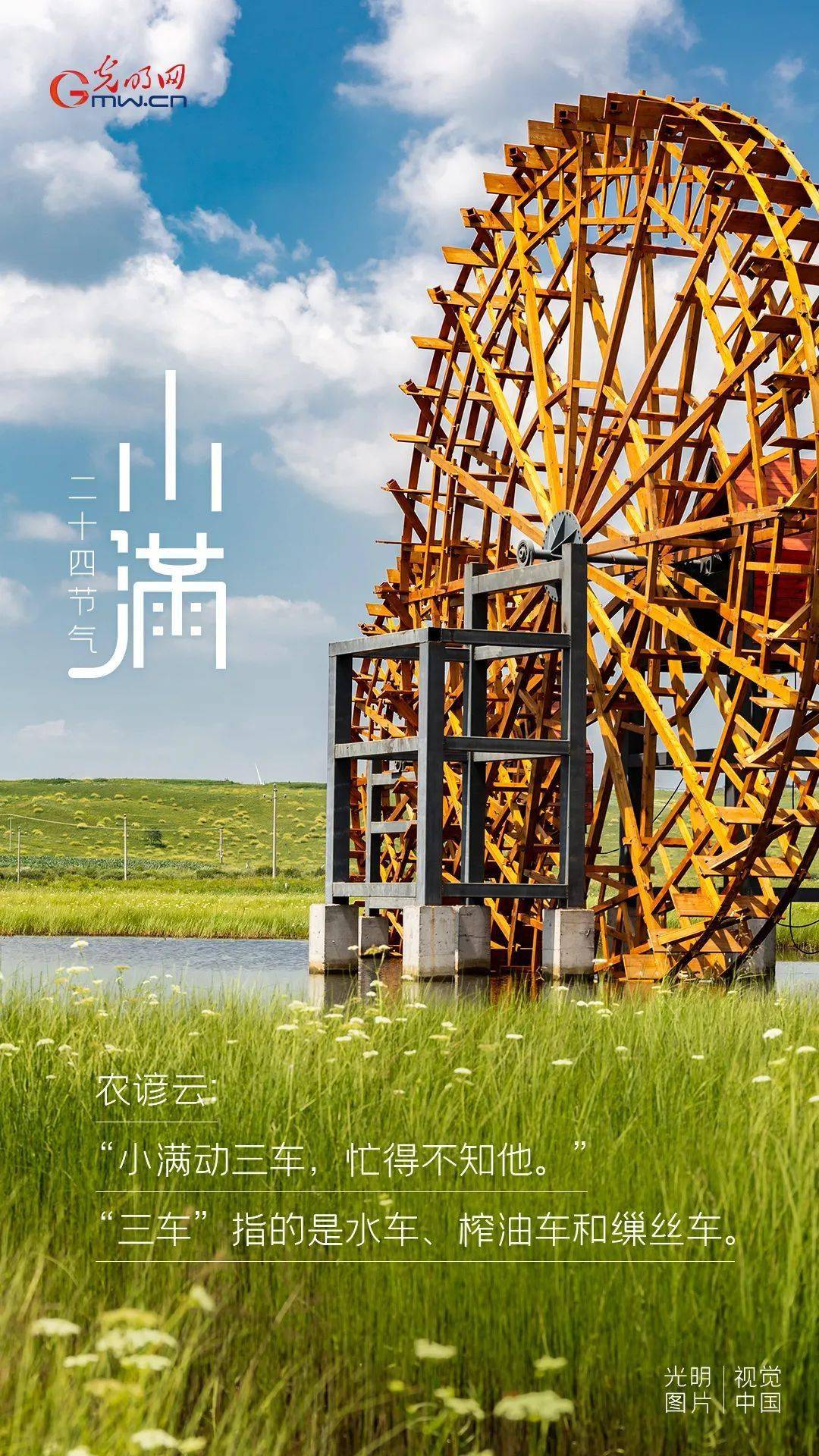 也奏响夏忙的序曲小满是收获的前奏蚕结新茧桑葚熟麦粒饱满水稻插迎来