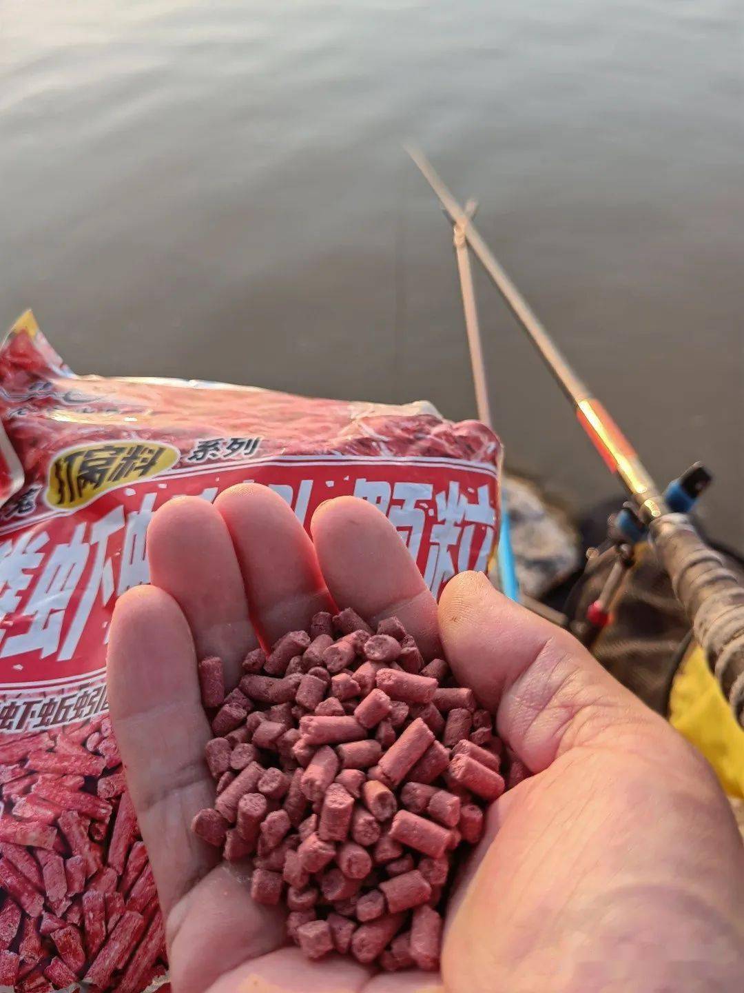 出钓黄河坝湾一包饵喜获一筐鱼