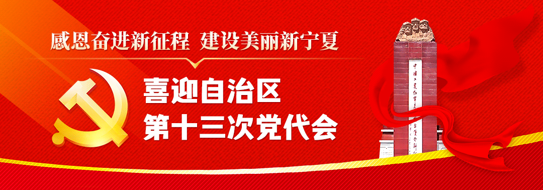 摘掉“空壳村”帽子！宁夏这个“向日葵”生态园火了！