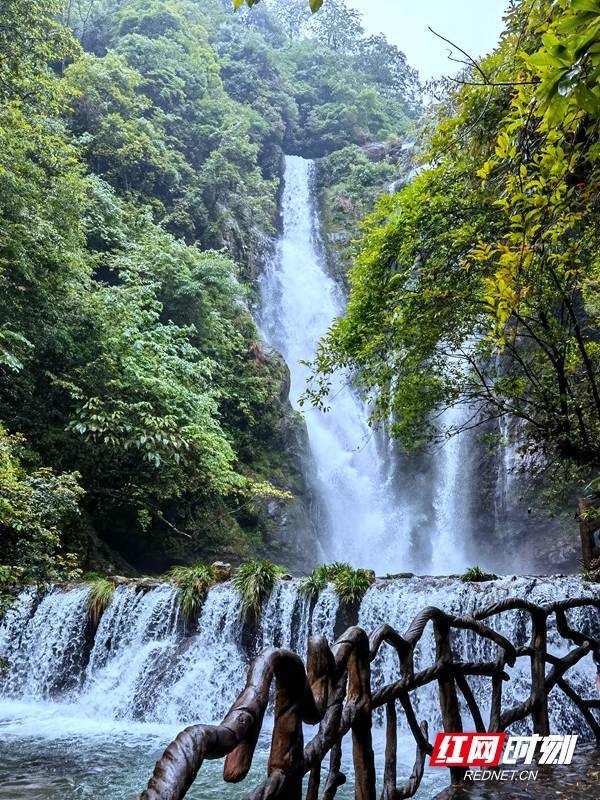 湖南湘约邵阳丨绥宁行走曲幽谷涓涓溪水惹人醉