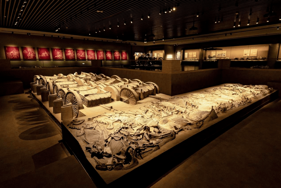 这个"奢华"的地下军团,藏着2500年前的太原……_文物_赵卿墓_车掠坑