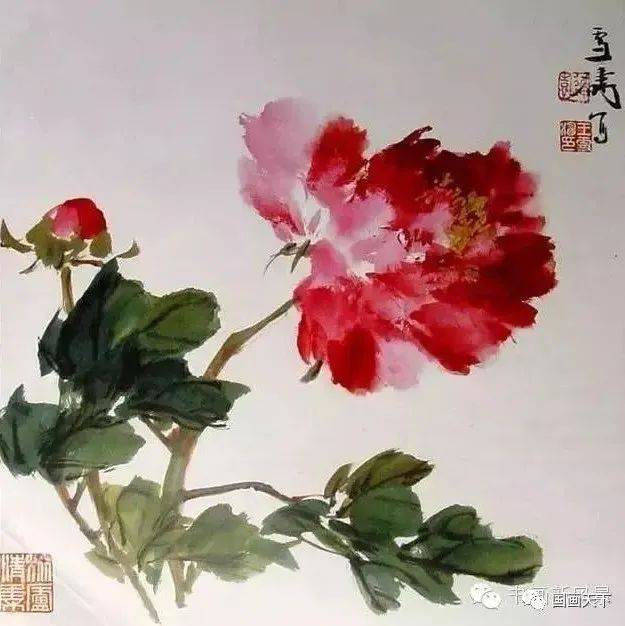 十大名家画牡丹，精彩纷呈！_搜狐网